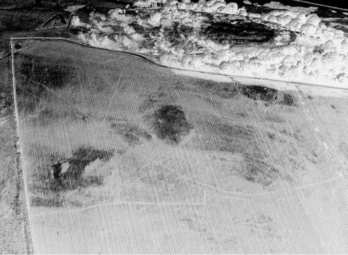aerial photograph of field with linear boundaries in black and white