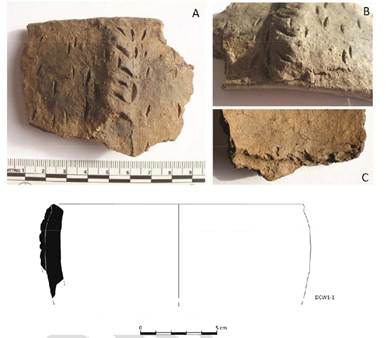 Photographs of pottery sherds above drawing of profile
