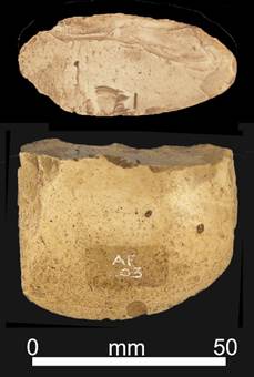 photograph of blade end fragment of flint on black background