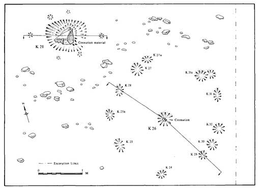 digitised site drawing showing pits and stones