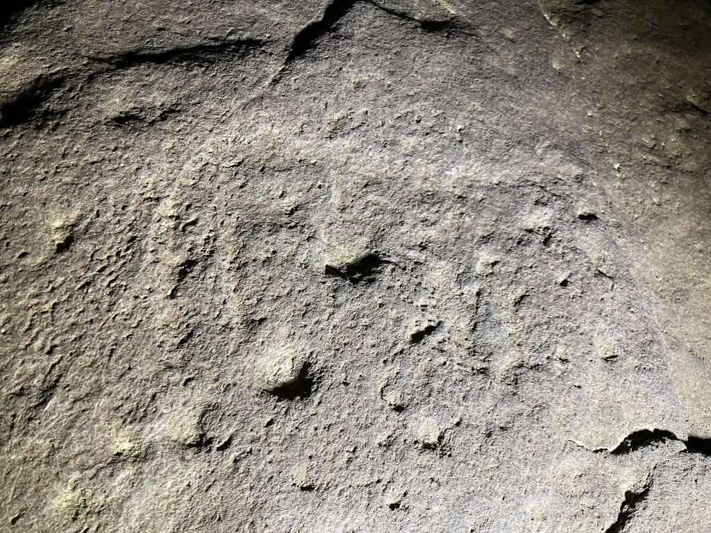 Image of a closeup of a carving of a deer in relief. 