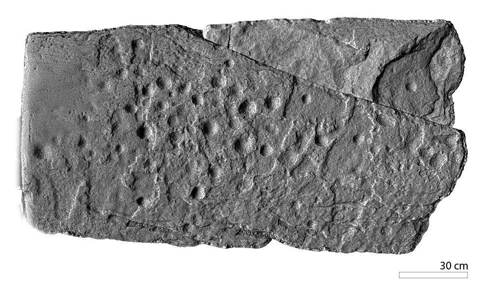 3d model in greyscale showing a large rectangular stone with cupmarks spread across it.