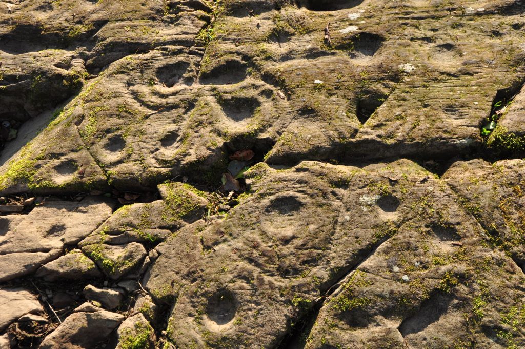 A worn, fragmentary stone with deep carvings, one of which resemble a flower shape.