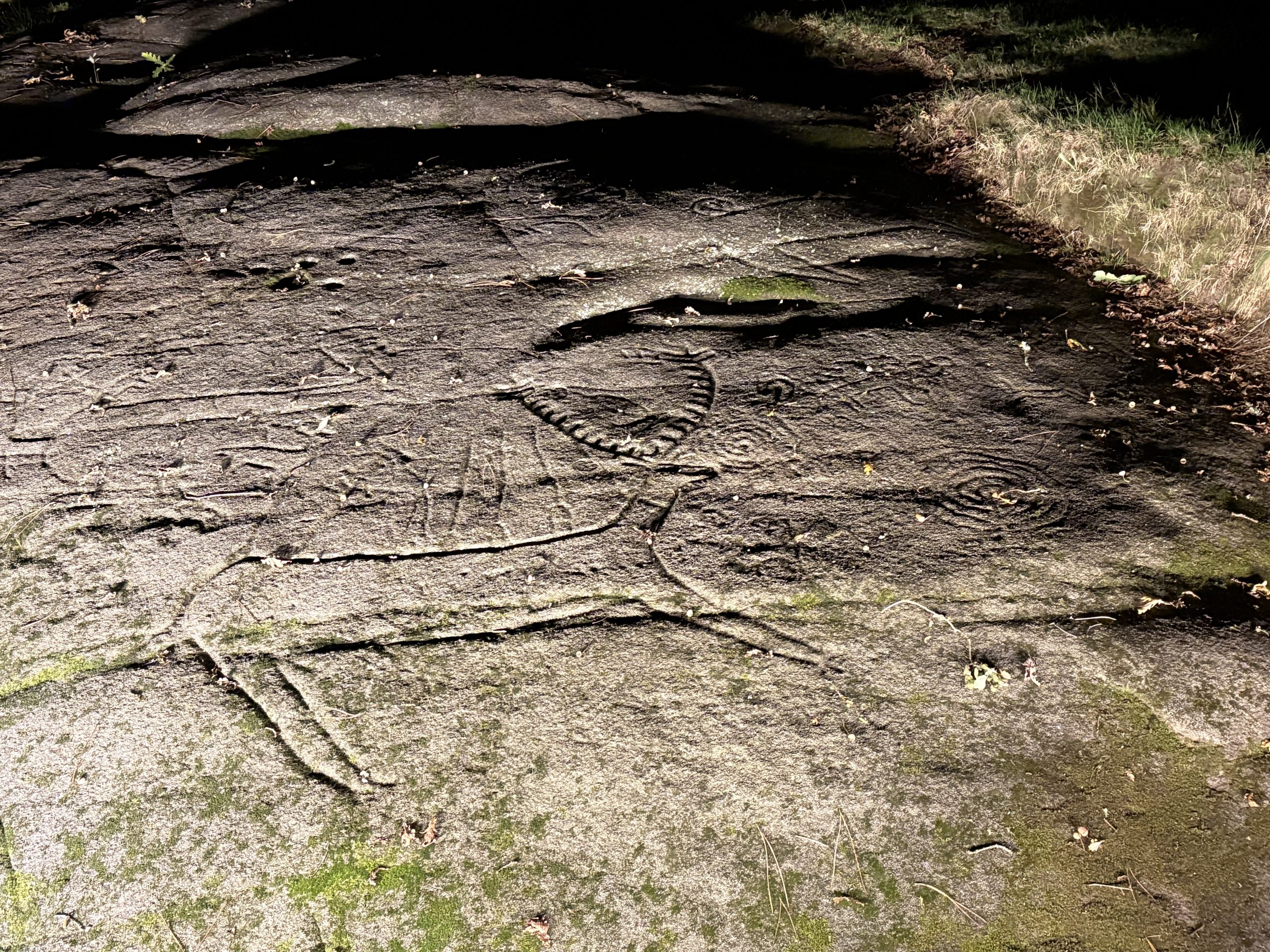 A large deer carved on a flat stone partially covered by grass and moss. 