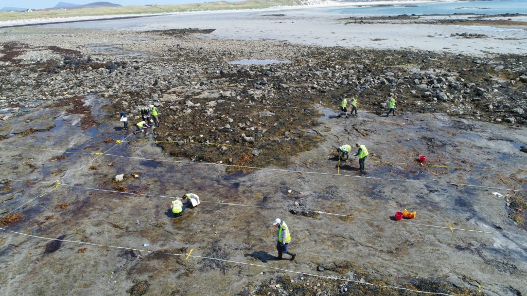 Oblique aerial view of 11 people in high visibility waistcoats crouching and standing on a wet brown sand and pebble beach at low tide. 
