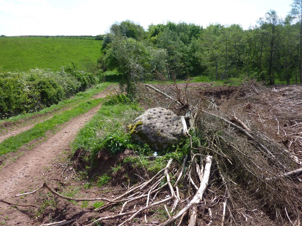 A large rounded stone is seen to the side of a farm track road in a ditch, with felled trees and branches surrounding it. 