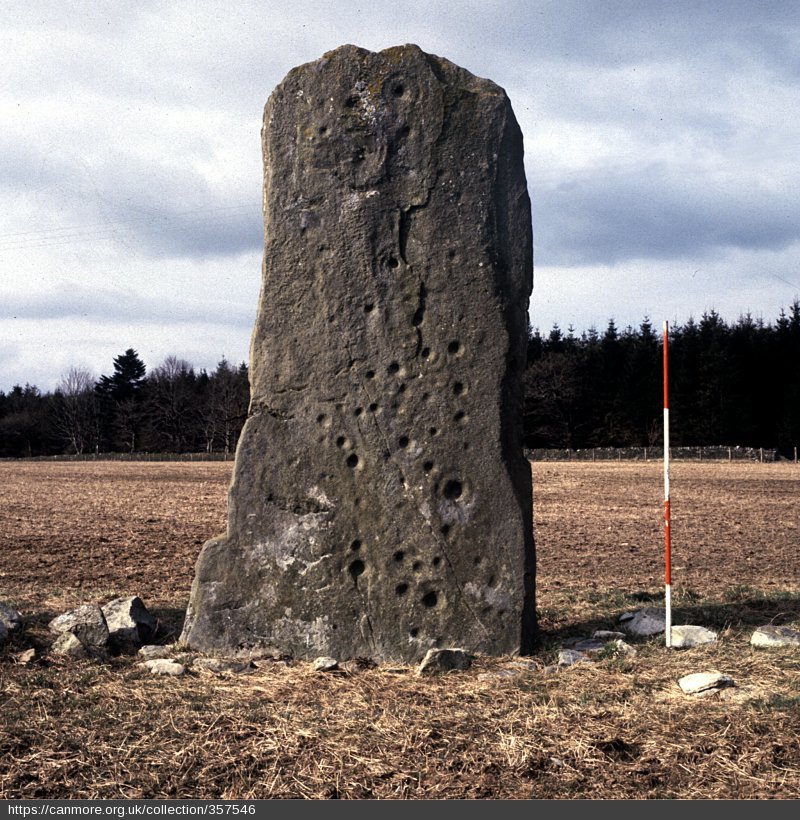 Tall standing stone in a brown field with clear cupmarks.