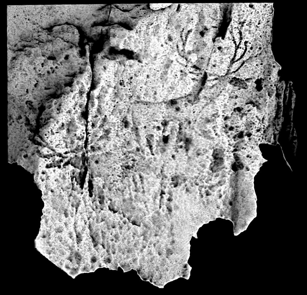 Greyscale 3d model of a carved stone with two clear carvings of deer with large antlers. 