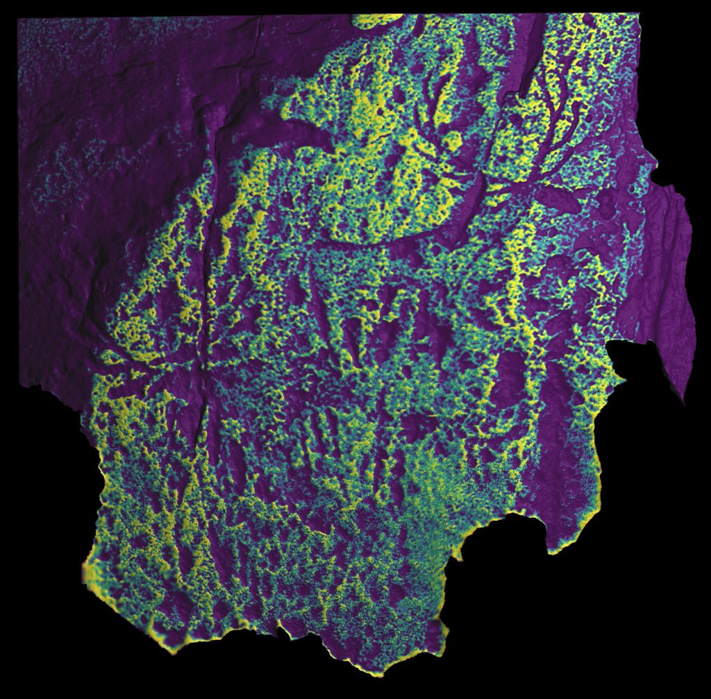 The same 3d model in purple, green and yellow of a carved stone with two clear carvings of deer with large antlers. This model shows deeper detail of the carvings and their depth into the stone. 