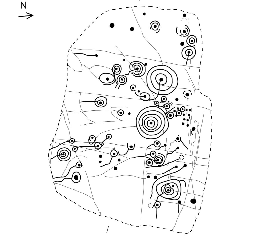Digital drawing of rock art in black lines, with spirals, circled and wavy lines. 