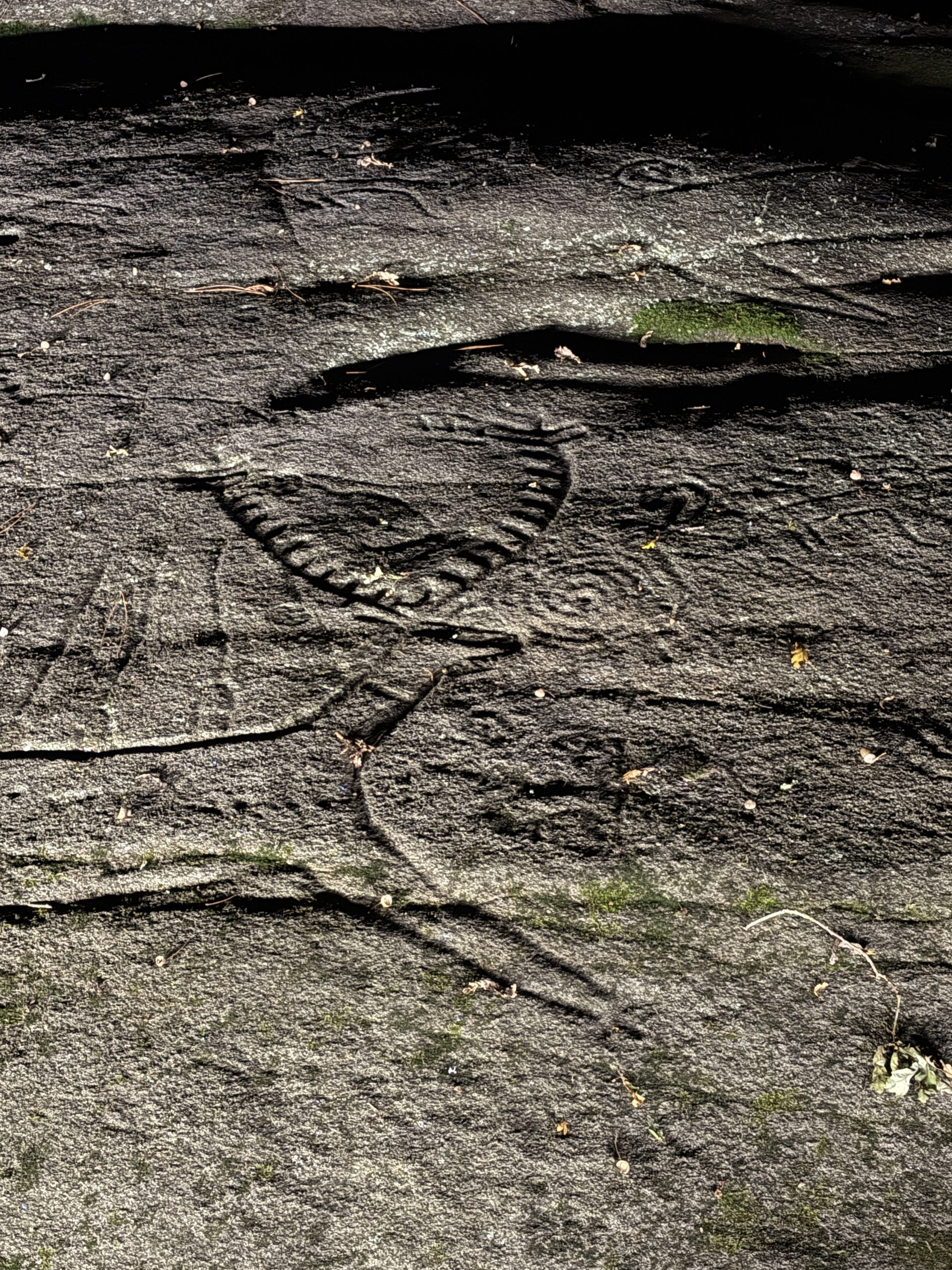 A night time image of a deer carving on a large flat rock with circular carvings next to it.
