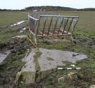 A flat carved stone partially buried in a grassy field, with a large iron barred object sitting above it, 