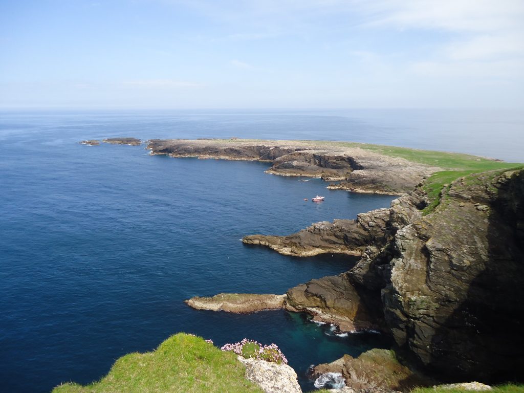 Oblique aerial view of the west side of a small island, with steep cliffs and a grassy landscape