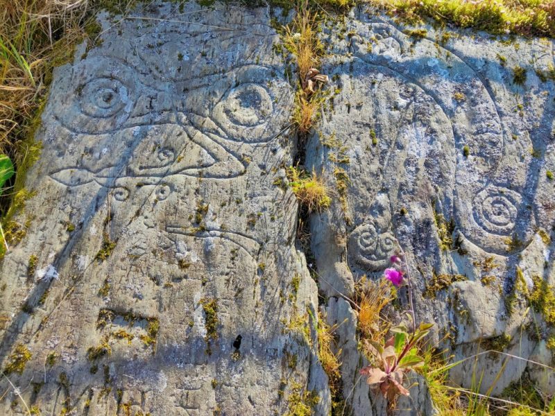 SWSARF workshops – book now!
