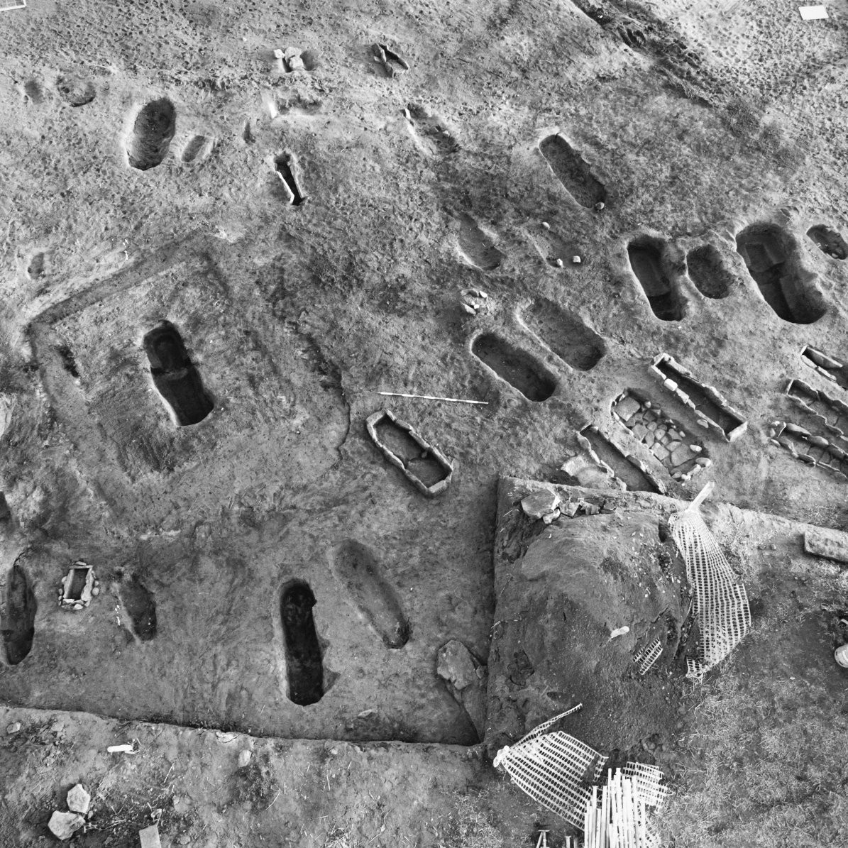Aerial view of a graveyard under excavation, with upwards of 28 rectangular trenches. The image is black and white, clearly showing the varying depth of the graves. 