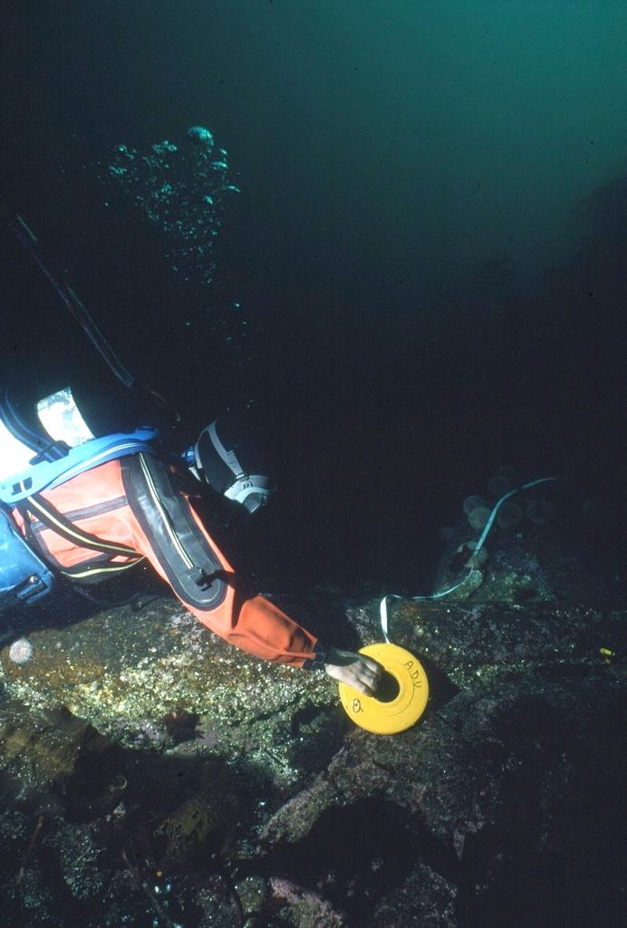 An underwater image of a diver wearing an orange wetsuit is measuring a feature with a yellow tape measure. Air bubbles can be seen coming from their mouth. 