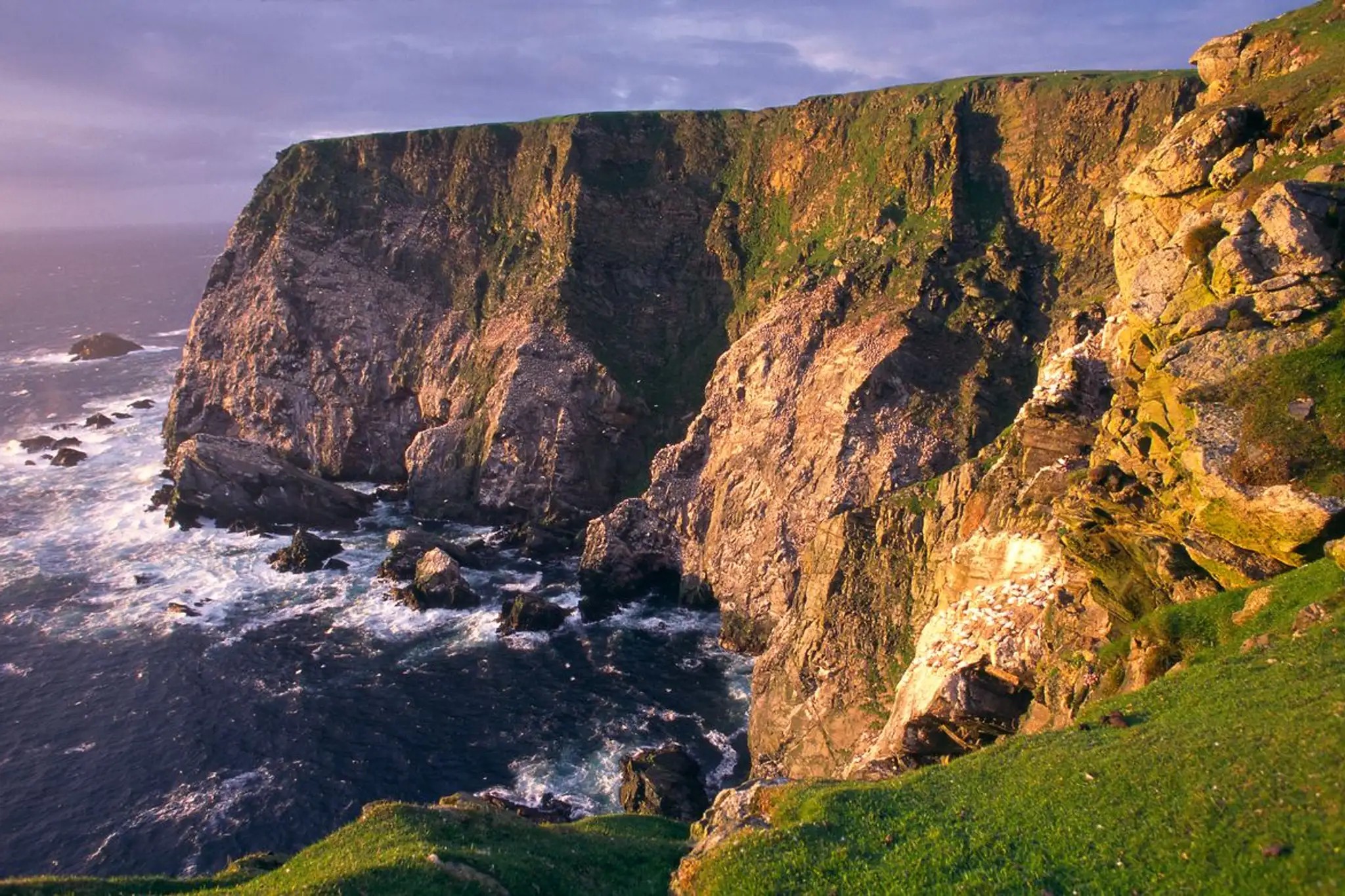 Photograph of a steep cliffside with rough waters at the bottom. The sunlight is hitting the side of the cliff and the sky is misty where the rocks meet the sea.